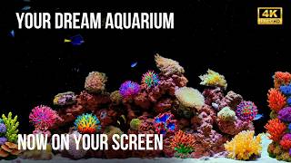 🐠 12 Hour 4K Aquarium for Relaxation | Real Fish Tank, Soft Coral & Natural Water Sounds screenshot 5