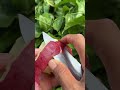 The Most Satisfying Apple Peel You’ll See Today 🍎✨