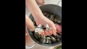 Cách tách ốc trinh nữ,cách ăn ốc trinh nữ không cần đập