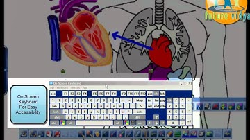 Demo Video of Interactive White Board