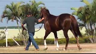 LOTE 23 - GRANITE DASH LAKE