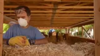 Community Rebuilds   Straw Bale Installation