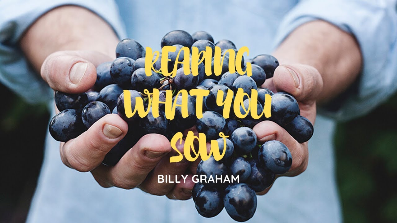 Billy Graham | God is not mocked, Whatever you sow, you will reap