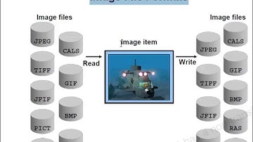 Oracle Forms 10g Tutorial in Bangla:  Read Image from System File
