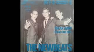 The Newbeats, Hey O  Daddy O, Single 1965