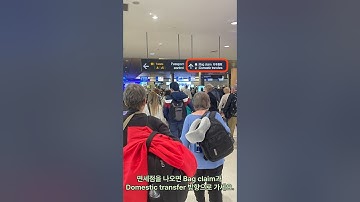 뉴질랜드 오클랜드 국제선에서 국내선 환승 실수없이 하기 #shorts