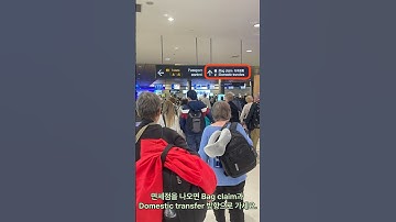 뉴질랜드 오클랜드 국제선에서 국내선 환승 실수없이 하기 #shorts