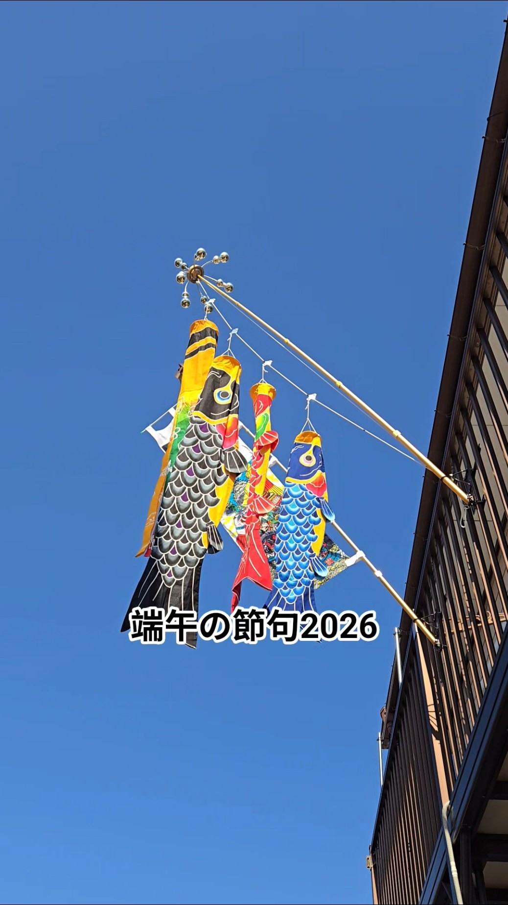 こどもの日👶こいのぼりの日🎏端午の節句〜2026〜 #鯉のぼり