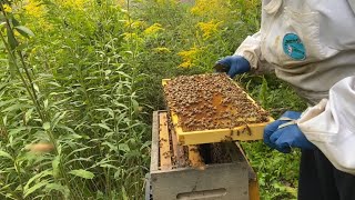 Simple Combination and Decommissioning Mating Nucs