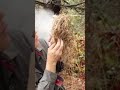 Stranded without matches? This fire hack could save your life #education #survival #fire