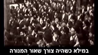 צורת גביעי המנורה א