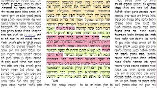 דף יומי מסכת פסחים דף לג Daf yomi Pesachim daf 33 שמואל נבון