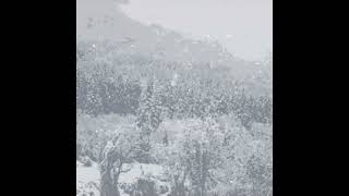 サムネイル画像は https://www.youtube.com/watch?v=fFSMuicAnxM からの引用です。