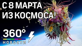 Поговорим о космонавтике — на форуме: Наука и философия ...