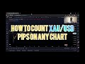 Forex trading training  how to count gold pips xausd  in forex and forex tips traders must know