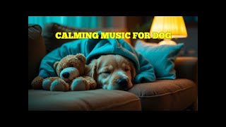 12 HOURS of Comforting Night Music for Dogs 🎵 Soothe, Heal, and Calm Anxious Dogs
