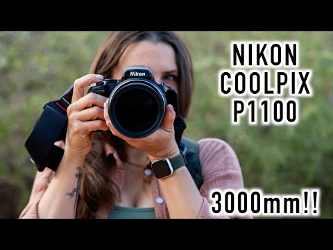 Nikon P1100 Review - Is this Your Super Zoom for Birds, Wildlife, and Portraits?