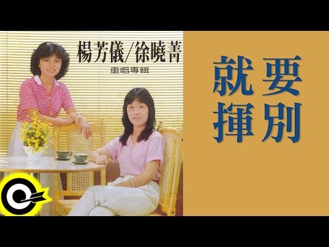 楊芳儀 徐曉菁【就要揮別】Official Lyric Video