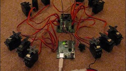 Q-P1 "Quadru-Pet 1" - part 1