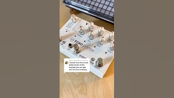 My pedal collection #fxpedal #empresseffects #fxpedal #echosystem #shorts