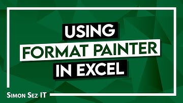Using Excel Format Painter