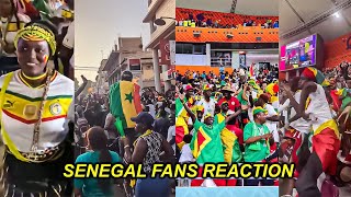 Senegal Fans Reactions After Senegal Beat Ecuador 2-1 in the World Cup