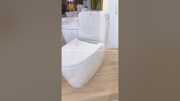 Bồn Cầu INAX AC 832VN 2 Khối #inax #bancau2khoi