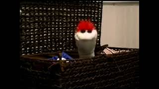 Afrts Smelly Sock Being A Good Roomate Is Good For Everyone 2010         1309