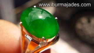 Imperial Green Jade 1