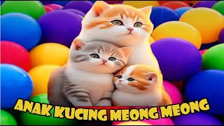 anak kucing meong-meong (suara kucing) kucing bermain bersama kelinci lucu) part 2 by si meong meong kucing lucu 6,686 views 1 month ago 4 minutes, 23 seconds