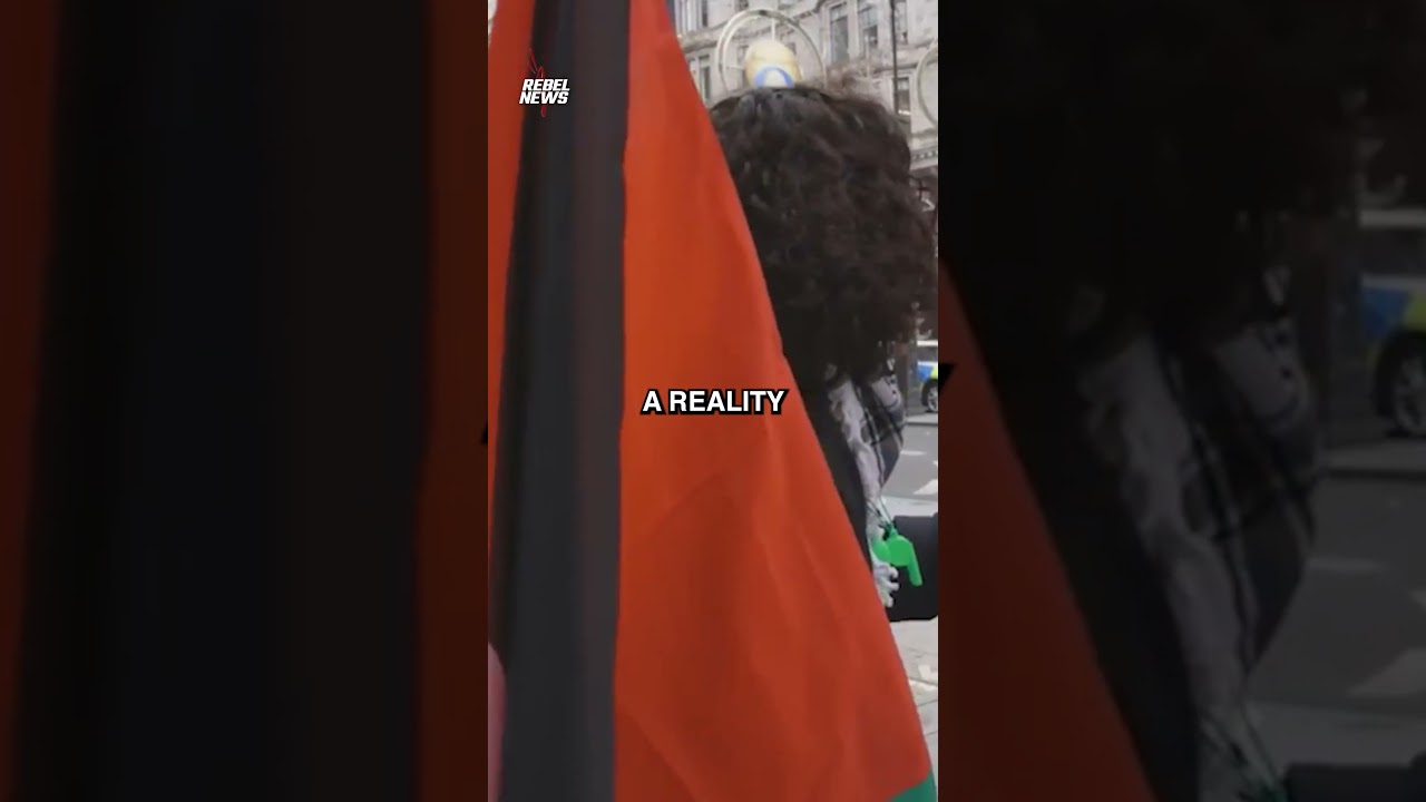 'Turn it off now!': Protester interrupts coverage of pro-Hamas rally in London