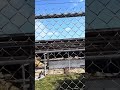 Ford’s Geelongs satellite canteen/hr demolition 2023
