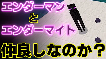 アンダーマイト