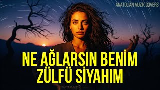 Ne Ağlarsın Benim Zülfü Siyahım Psychedelic Anatolian Rock Cover