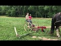 Horse Drawn Sickle Bar Mowing, Part 2: Second Attempt