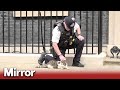 Police officer strokes Larry the cat outside No 10 as PM vows to carry on role