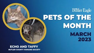 Butler Eagle Pets of the Month - March 2023