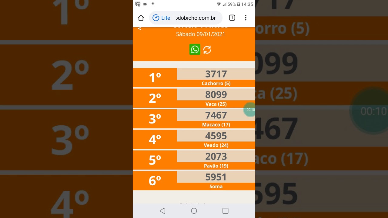 Resultado Das 14 Horas Jogo De Bicho - Discover Your Ideas 3531