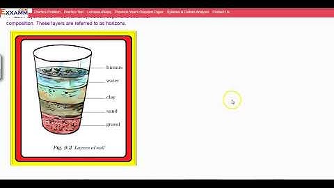 𝐒𝐎𝐈𝐋 𝐏𝐑𝐎𝐅𝐈𝐋𝐄|Class7 Chapter9|CBSE|NCERT