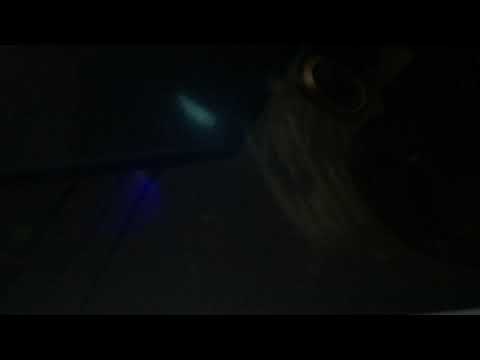 Finding Nemo Angler Fish (Short)