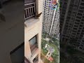 The chicken jumped from the tall building😲 | #shorts | Best Wild Box