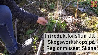 Introduktionsfilm till Skogsworkshop på Regionmuseet Skåne