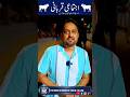 اجتماعی قربانی میں جس جس نے حصہ لینا ہو وہ اج ہی رابطہ کریں شکریہ #farhan86geo #qurbani