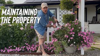 Cutting Back My For Better Blooms & A Little Work On The House