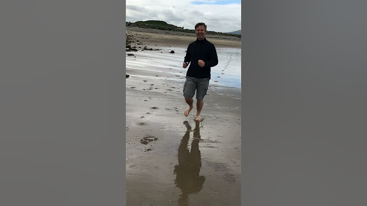Dog Plays Fetch With Ball and Runs Around on Beach Alongside Their Owner - 1203474-1