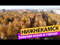 Нижнекамск. Золотая осень