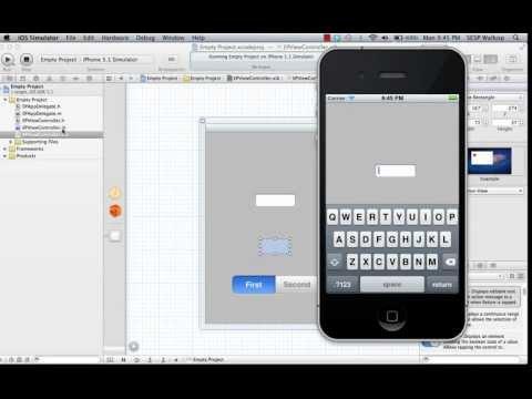 Quick Intro to Xcode Environment