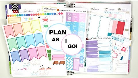 Plan As I Go | Erin Condren Vertical | 4
