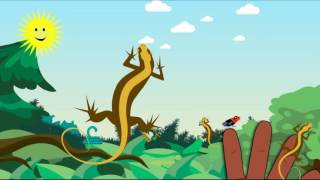 Reptile Finger Family Song Finger Family Rhymes Spanish Nursery Rhymes For Kids