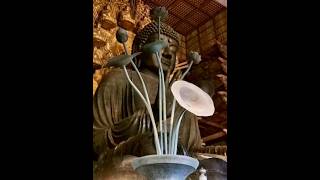 Le Sutra de l'ornementation fleurie : Avatamsaka Sūtra (Conférence 46)